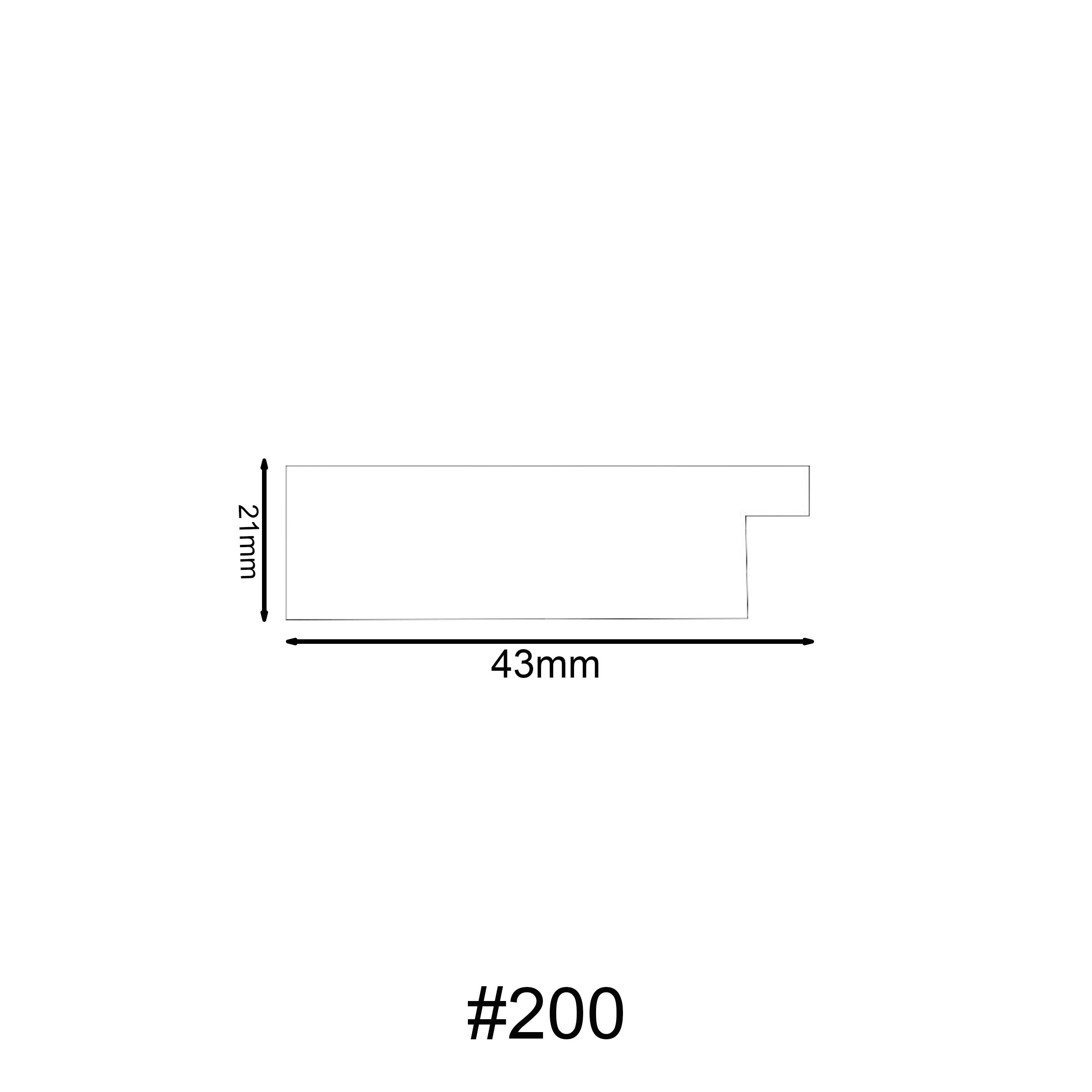 200 molding